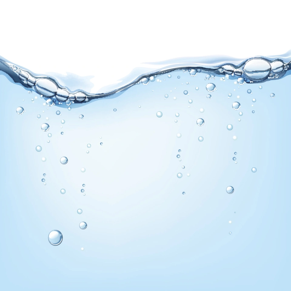 Jamaica and Tanzania Water Projects